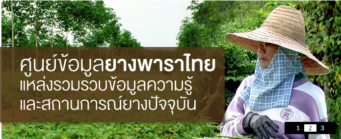 ศูนย์ข้อมุลยางพาราไทย2-สำนักงานสภาเกษตรกร-จังหวัดสงขลา